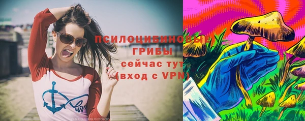 ГАЛЛЮЦИНОГЕННЫЕ ГРИБЫ Балабаново