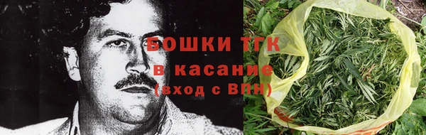 ГАЛЛЮЦИНОГЕННЫЕ ГРИБЫ Балабаново