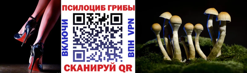 Галлюциногенные грибы мухоморы  Гудермес 